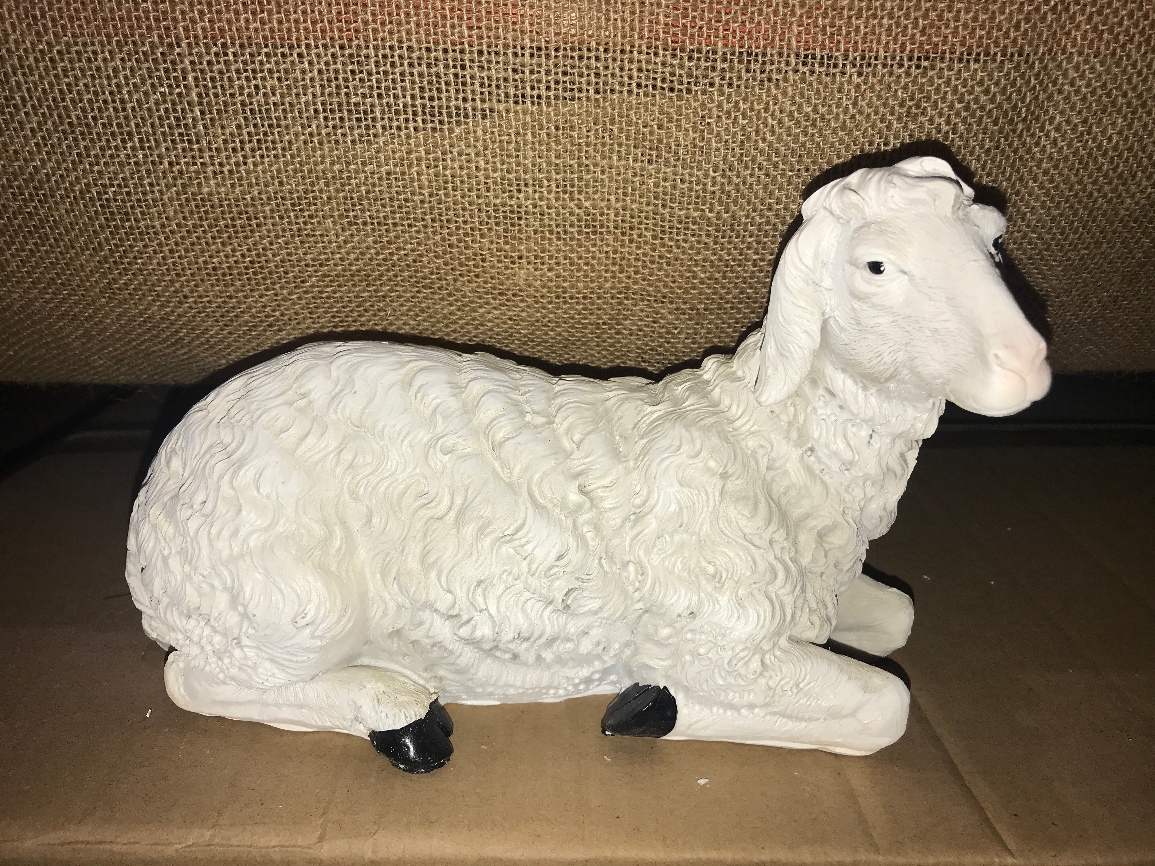 Sheep